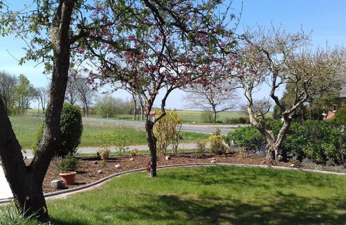 Hagermarsch Apartment | Friesenrosen