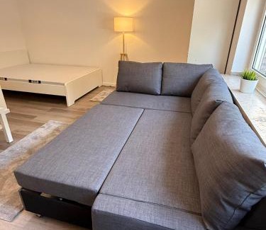 Dahl Apartment | Frisch renoviertes Appartement