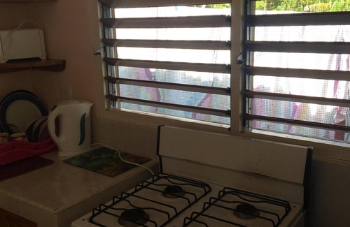 Negril House | Froggy’s Guest House