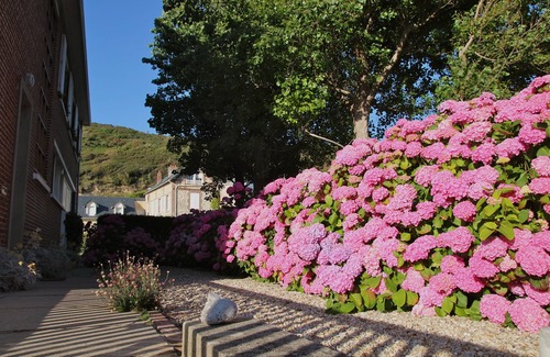 Saint-Martin-aux-Buneaux Apartment | Front de mer 1, cosy studio with full sea view at Les Petites Dalles