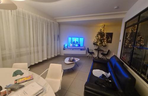Ostend City Centre Apartment | frontaal gelijkvloers seaview 80m² 2 slp