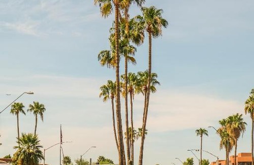 Scottsdale Osborn Plaza Apartment | FRONTDESK Old Town Apts Scottsdale