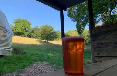 Whitland Other | Frowen Fields Eco Glamping and Camping