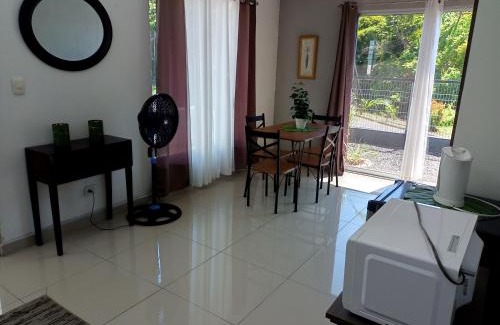 Coyolar Apartment | Fruta mango 1