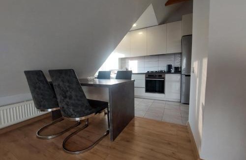 Kaunas Apartment | Fryko apartamentai Kaune