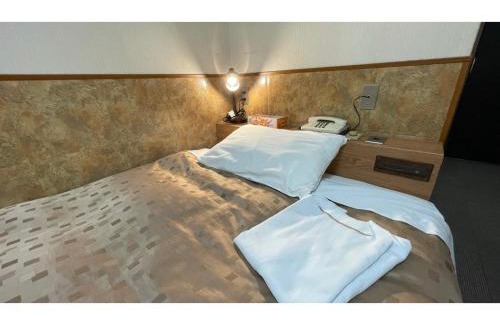 Fuji Hotel | Fuji Park Hotel - Vacation STAY 23849v