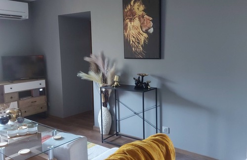 Faverges-Seythenex Apartment | fully-equipped, comfortable apartment close to all amenities lake mountain