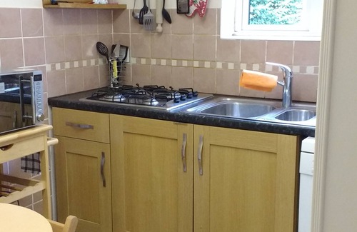 Cherry Hinton Apartment | Fully furnished all confort flat with private garden!