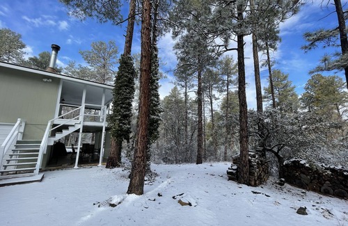 Oak Knoll Village Cabin | Fully renovated cabin w/private forest views & 3.2 miles to downtown Prescott!