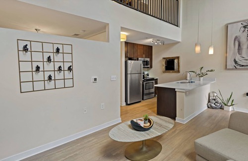 Buckingham Apartment | Fun | Exec | Loft | Spacious & Sunny in the Center