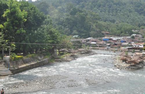 Bukit Lawang House | Fun Family Guest House n Jungle Tour