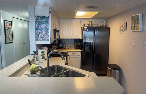 Briarcliff Condo | Fun N Sun Lake Travis Waterfront Condo