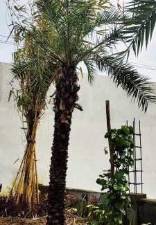 Covelong Beach Hotel | Fun World Beach Park