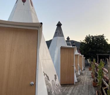 Santo Domingo Other | Fungi Tipis