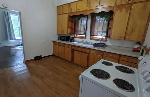 Ishpeming House | Funky, Fido-friendly flat near downtown Ishpeming.