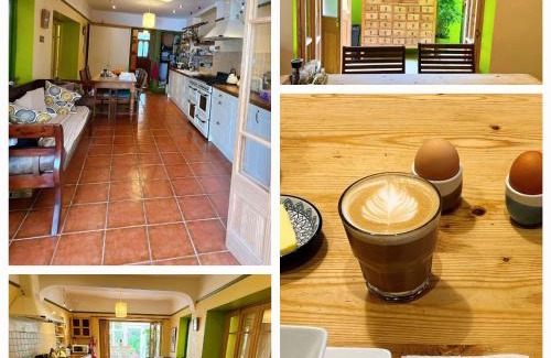 Roath Bed & Breakfast | Funky Urban Jungle
