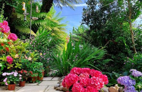 Roath Bed & Breakfast | Funky Urban Jungle
