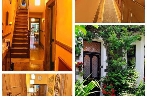 Roath Bed & Breakfast | Funky Urban Jungle
