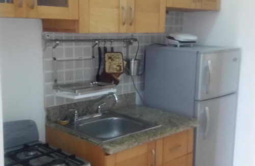 Santiago Province Apartment | Furnished in class A