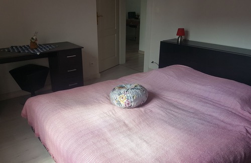 Munster Apartment | Furnished apartment renovated 60m2 1st and last floor