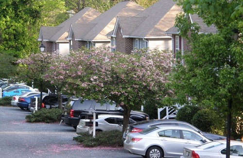 Lynchburg House | Furnished Corporate Townhomes & Apartments