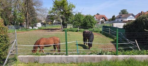 Dueren House | Gäste Haus Am See