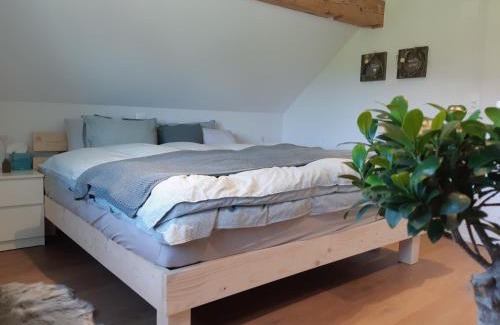 Neckertal Bed & Breakfast | Gästehaus Aemisegg
