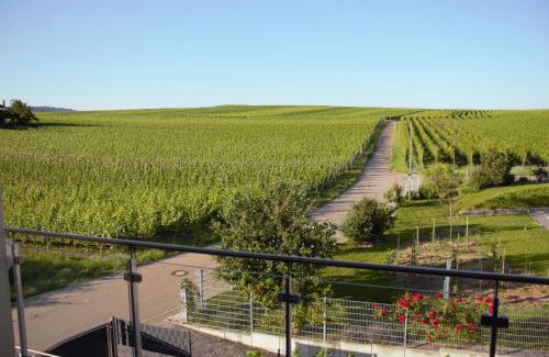 Bischoffingen Apartment | Gästehaus Casa Luna - Paradiesische Ferienwohnungen am Kaiserstuhl!