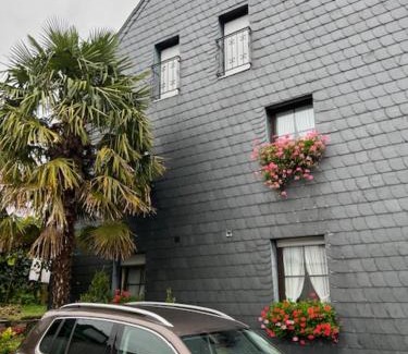 Mehring Apartment | Gästehaus Elisabeth Bach
