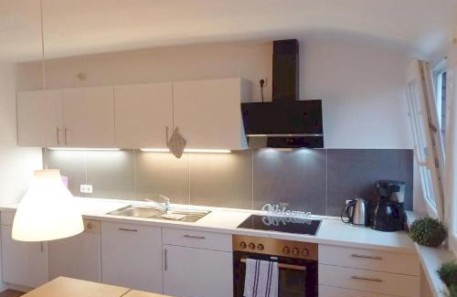 Kesselheim Apartment | Gästehaus Koblenz - Dachgeschoss