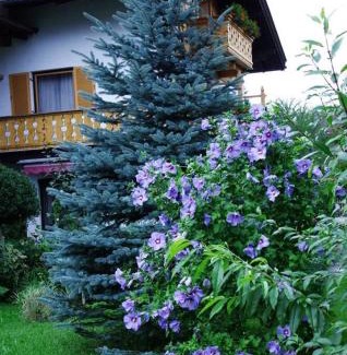 Garmisch-Partenkirchen Hotel | Gästehaus Lödermann