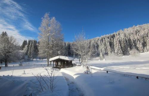 Blasiwald Apartment | Gästehaus Seewald- Ferienwohnung 4 "Lärche", Schluchsee, Blasiwald