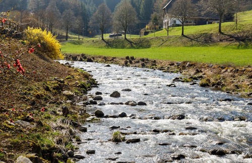Niederwasser House | Gästehaus Ursula