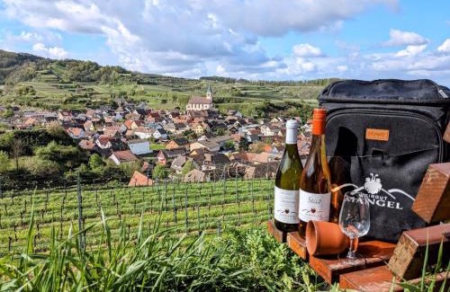 Kiechlinsbergen House | Gästehaus Weingut Mangel