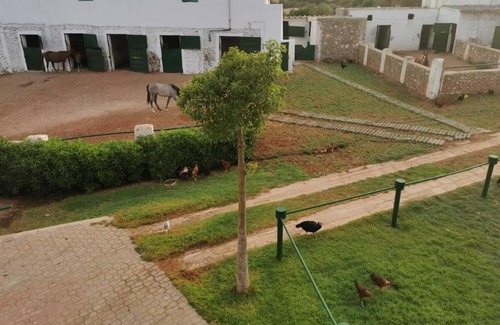Oulad Rahmoune Apartment | Gîte équestre Balade plage petit déjeuner au bord de la piscine