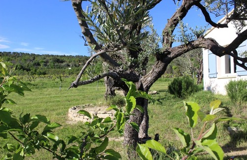 Mollans-sur-Ouveze House | Gîte 10 minutes from Vaison la Romaine