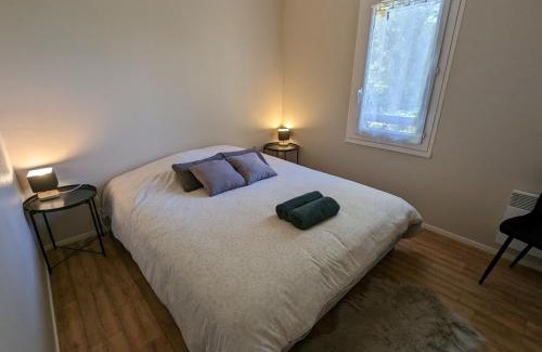 Ouzouer-sur-Loire House | Gîte 10 pers. avec jardin à 200m des commerces, proche Loire et forêt d'Orléans - FR-1-590-281