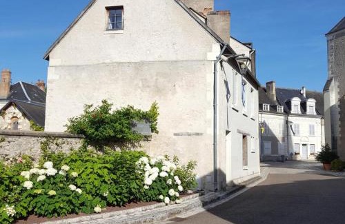 Pontlevoy House | Gîte 18ème avec jardin, jeux, et ateliers cuisine près de l'Abbaye de Pontlevoy. - FR-1-491-349
