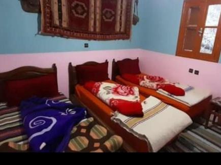 Imlil House | Gîte akioud mazik