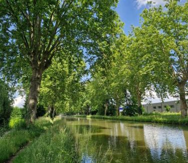 Illkirch-Graffenstaden Apartment | Gîte-appart com' "des cîmes et jardin"