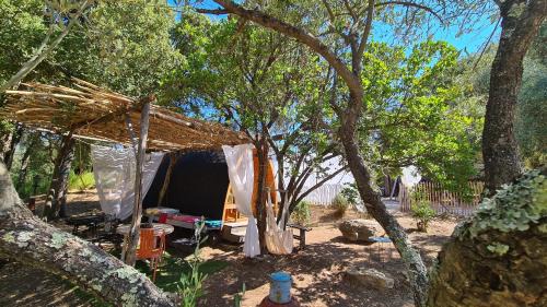 Carbuccia Cabin | Gîte atypique Le Pod au coeur du maquis