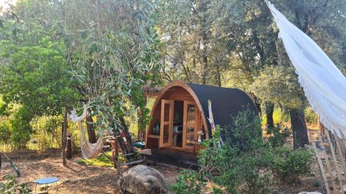 Carbuccia Cabin | Gîte atypique Le Pod au coeur du maquis
