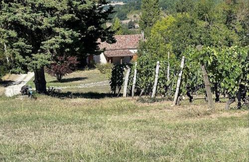 Cazes-Mondenard House | Gîte au cœur des vignes