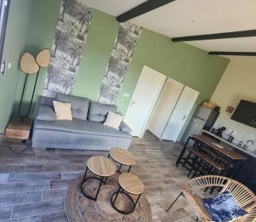 Pujols-sur-Ciron House | Gîte au coeur des vignes, jacuzzi et sauna privés