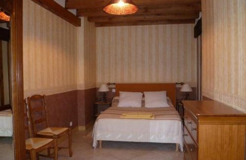 Cour-Cheverny House | Gîte au coeur des Châteaux de la Loire avec jardin clos, cheminée et équipements modernes. - FR-1-491-360