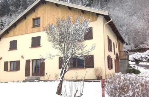 Liezey House | Gîte Authentique en Ferme Vosgienne, Nature et Confort près de Gérardmer - FR-1-589-211