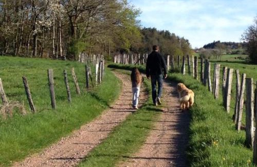 Belmont-de-la-Loire House | Gîte avec piscine, cheminée, jardin, et animaux acceptés - FR-1-496-32