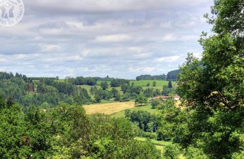 Belmont-de-la-Loire House | Gîte avec piscine, cheminée, jardin, et animaux acceptés - FR-1-496-32