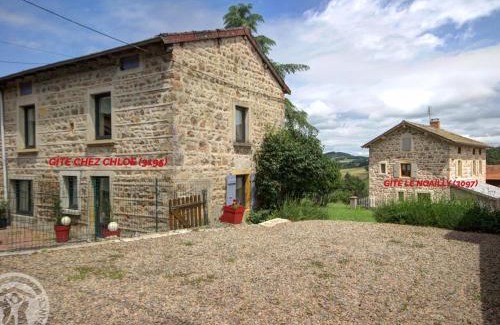 Belmont-de-la-Loire House | Gîte Avec Piscine, Chevaux Acceptés, Confort Moderne - FR-1-496-126