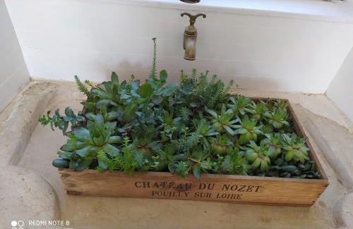 Germonville House | Gîte calme 4 chambres, terrasse privative, draps inclus - Germonville - FR-1-584-167
